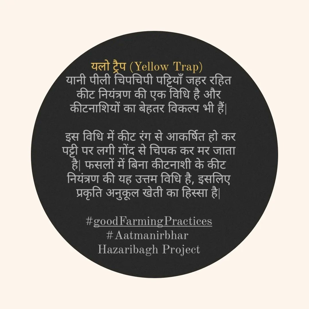 AatmanirbharHB's tweet photo. (2/2) यलो ट्रैप/ पीली चिपचिपी पट्टियाँ जहर रहित कीट नियंत्रण की एक विधि है. इस विधि में कीट रंग से आकर्षित हो कर पट्टी पर लगी गोंद से चिपक जाता है.फसलों में बिना कीटनाशी के कीट नियंत्रण की उत्तम विधि है व प्रकृति अनुकूल खेती का हिस्सा है. #GoodFarmingPractices @AatmanirbharHB https://t.co/7YjYgTtDjQ