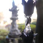 ツイートに含まれる画像