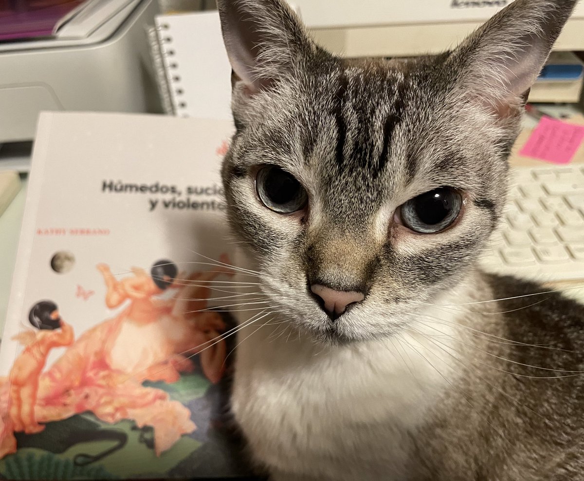 Casi nota roja. Casi poema en prosa:
_Húmedos, sucios y violentos_ de Kathy Serrano <a href="/kathyserranop/">Kathy Serrano</a>