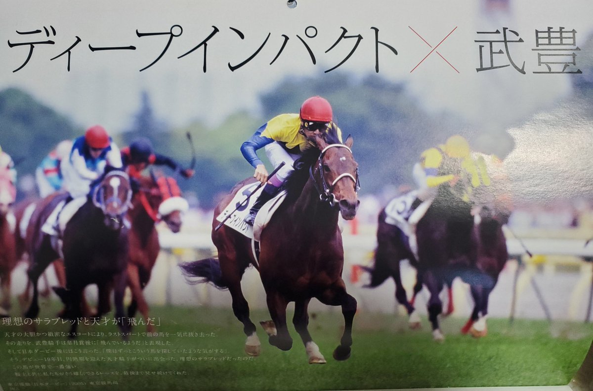 武豊サイン＆ディープインパクト有馬記念☆単勝馬券☆