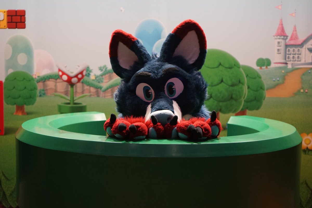 SeriksFox's tweet image. Let&apos;s play some Super Mario on #FursuitFriday
(Do you want to be my player 2?😋)

📸 @TraceoTheFox

 #polaris22 #polarishamburg #polarisconvention