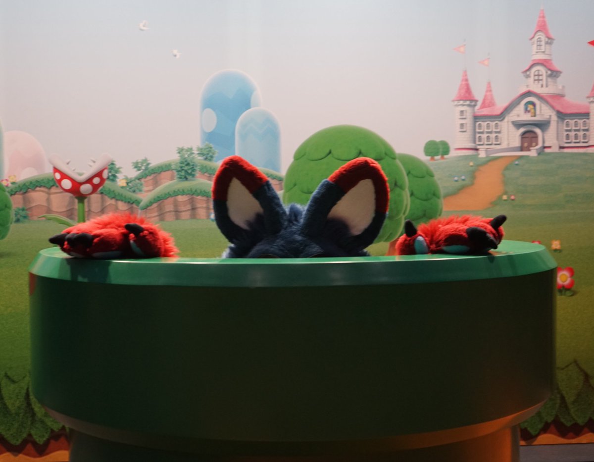 SeriksFox's tweet image. Let&apos;s play some Super Mario on #FursuitFriday
(Do you want to be my player 2?😋)

📸 @TraceoTheFox

 #polaris22 #polarishamburg #polarisconvention