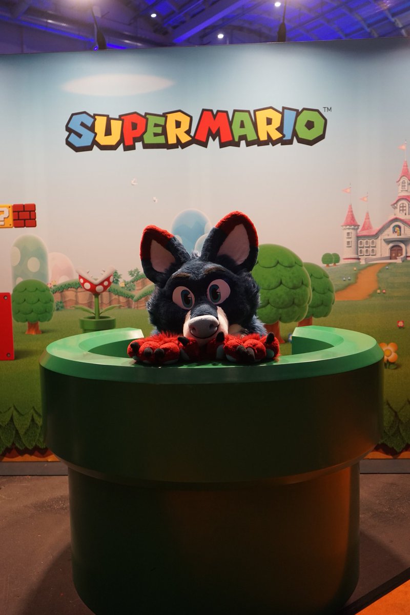 SeriksFox's tweet image. Let&apos;s play some Super Mario on #FursuitFriday
(Do you want to be my player 2?😋)

📸 @TraceoTheFox

 #polaris22 #polarishamburg #polarisconvention