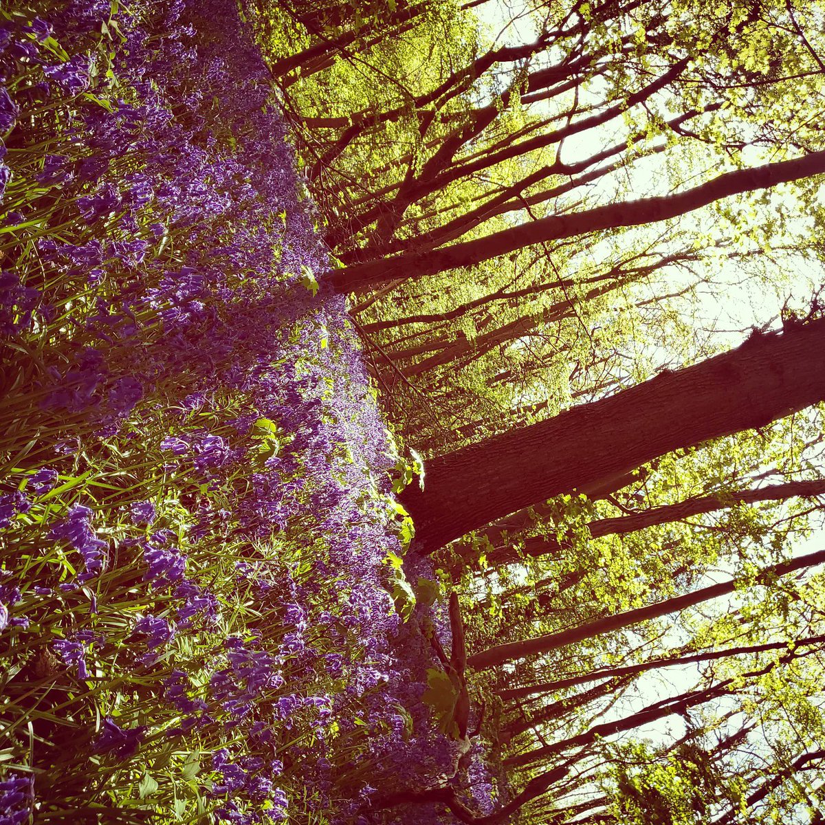 Aline Fqpeh ⭐ tweet media