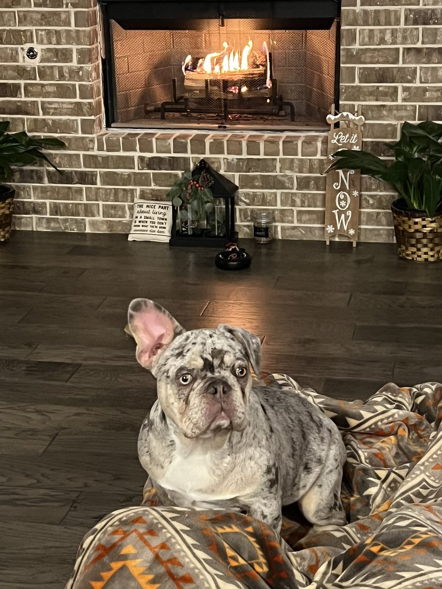 ShooterUrich's tweet photo. That look you make when you see Baylor is down 9-0 at the end of the 1st quarter. #ComebackBears https://t.co/cDEec12AHf