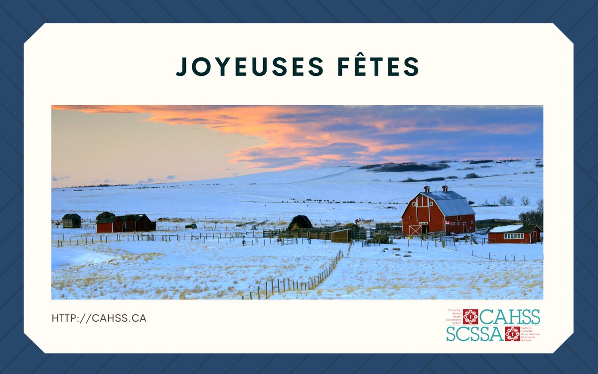 CahssCanada's tweet photo. Tout le personnel du #SCSSA (Système canadien de #surveillance de la #santé #animale) vous souhaite un heureux temps des Fêtes ! https://t.co/0AK7QFgHr6