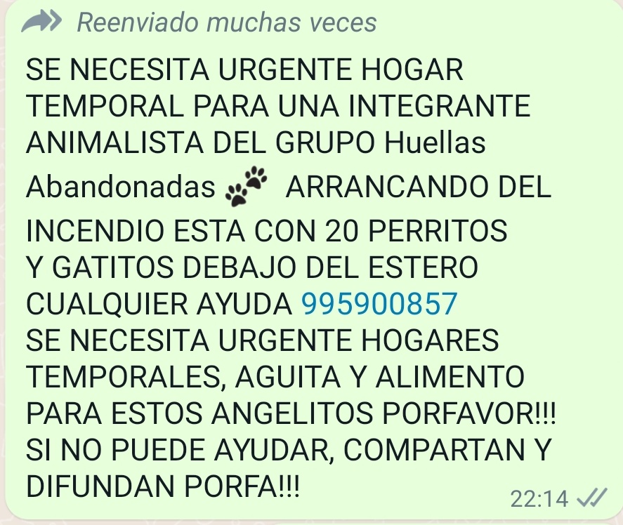 AnimalParaíso tweet media