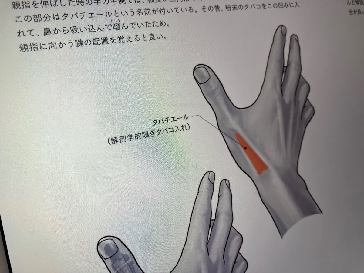 加藤公太さんの「手+足の美術解剖学」電子で買いました…! 知識や作例もですが、あの窪みの意味は…?とか、ここ…人間の手足が動く時のこういうの知りたかった…!がたくさん詰まっててすごく勉強になります。ありがたや…🙏