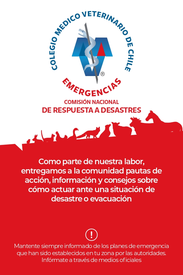 colmevetchile's tweet photo. Respecto a la emergencia que se vive en estos momentos en Viña del Mar, nuestra Comisión de Respuesta a Desastres llama a la comunidad a la calma y a seguir las instrucciones de la autoridad, y en el caso de evacuación, tener a mano el kit de emergencia  y evacuar con mascotas. https://t.co/zxMr4CKJWP