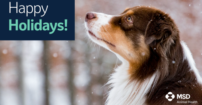 MSDAnimalHealth's tweet photo. From our MSD Animal Health family to yours, we wish you a joyful &amp; happy holiday season! https://t.co/hjeJ9HnA6S