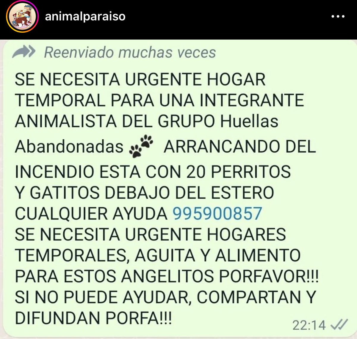 Mirsalis's tweet photo. AYUDA URGENTE
#VinadelMar 
@carolinapinoc 
@GedaFundacion @clubgaterogrupo @fundacionstuka @AnimalParaiso https://t.co/kMNgziYO6y