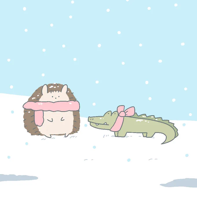今朝は徳島も雪が積もりました 