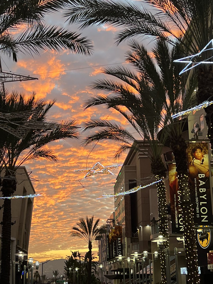 KemsleyMichele's tweet photo. Holiday Fantasy Sunset California Style. Wishes of peace on earth, and Pieceof9 in your playlist in 20 days😘#pizzle #THEPIECEOF9 #piece_jacket https://t.co/LXfSBEH0OW