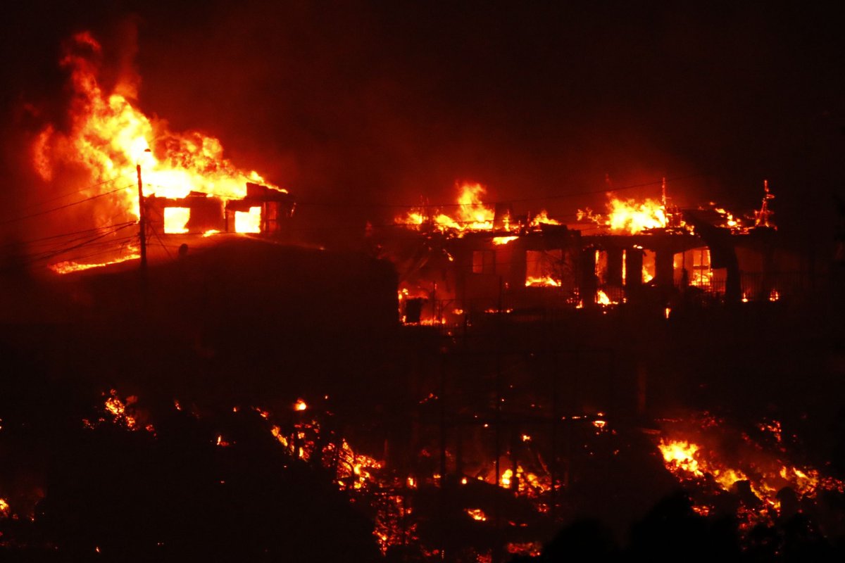 NoticieroAnimal's tweet photo. #URGENTE 🔴 #CHILE La clínica veterinaria Los Castaños ubicada en Av. Los Castaños 125 en Viña del Mar, está recibiendo de forma gratuita a los animales afectados por el incendio que esta ocurriendo en Viña del Mar. #IncendioForestal https://t.co/iYYOYReTtb