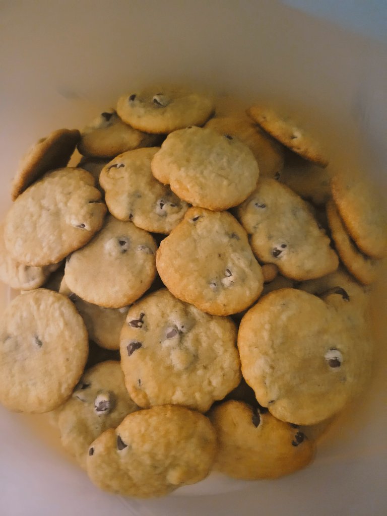 kswae78's tweet photo. Baking Bonanza Day 1 done! 
Chocolate Chip
Butter Cookies
Meringues
Dough for Kolachky in fridge! https://t.co/3GCRFywgkl