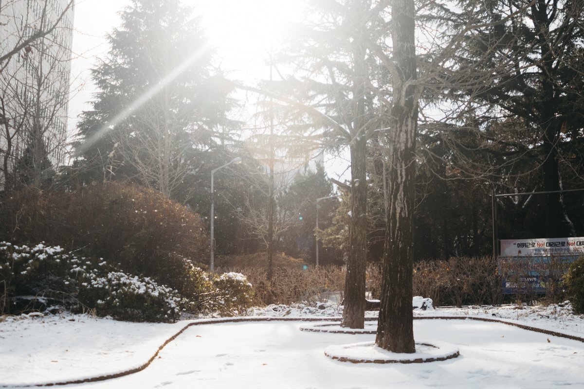GlobalWoosong's tweet photo. Snowy and chilly start to winter break! Stay warm!

#snow #winter #campus #woosonguniversity #daejeon https://t.co/CWL9cvlA3v