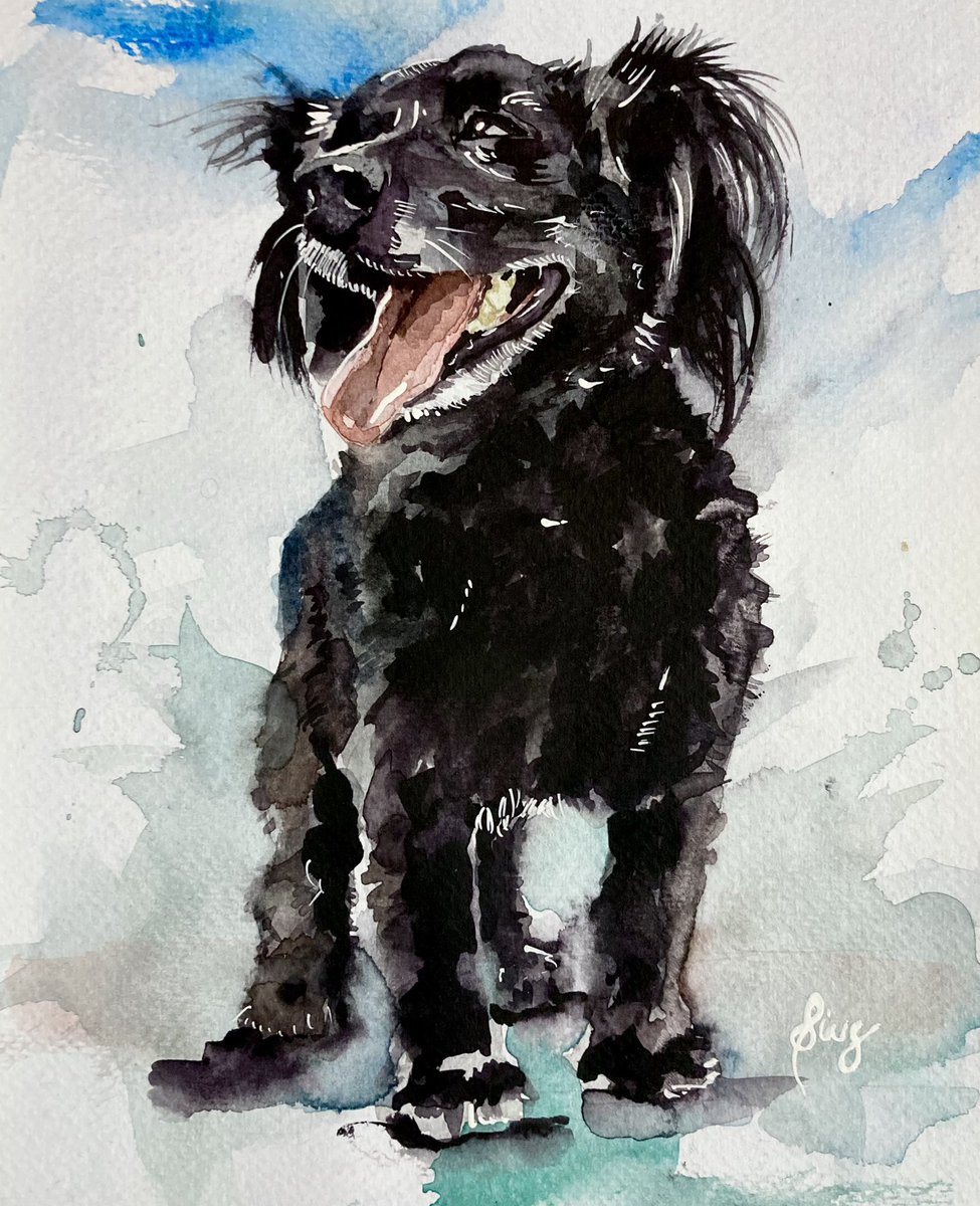 MapacheRex's tweet photo. Mi propósito de Año Nuevo: 💫 

A partir de ahora, cada vez que me pidan un retrato de su mascota, voy a donar la mitad de las ganancias a alguna organización que ayude a perritos y gatos en situación de calle! 🎨 🐕 #Acuarela #AnimalesDeLaCalle https://t.co/xzoItZ6HYY
