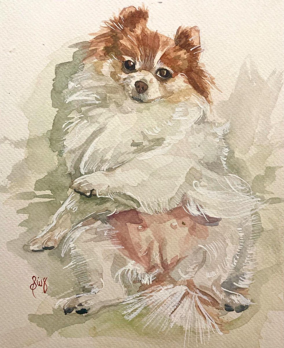 MapacheRex's tweet photo. Mi propósito de Año Nuevo: 💫 

A partir de ahora, cada vez que me pidan un retrato de su mascota, voy a donar la mitad de las ganancias a alguna organización que ayude a perritos y gatos en situación de calle! 🎨 🐕 #Acuarela #AnimalesDeLaCalle https://t.co/xzoItZ6HYY