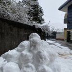 ツイートに含まれる画像