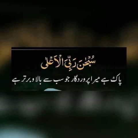 ChMaqboolSabir4's tweet photo. Good morning  friends https://t.co/LJAzkl6YD3