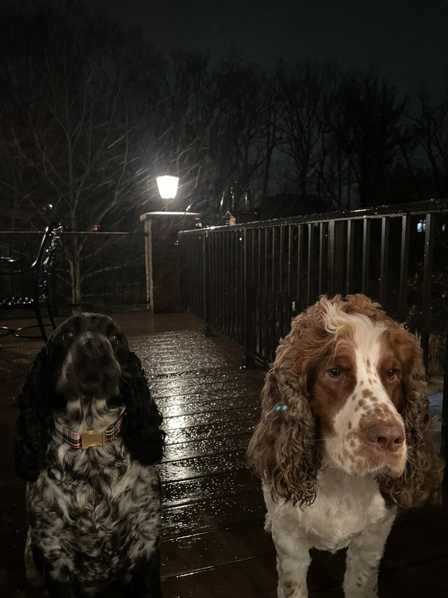 Snowing in Monfort Heights. <a href="/FOX19/">FOX19 NOW</a>