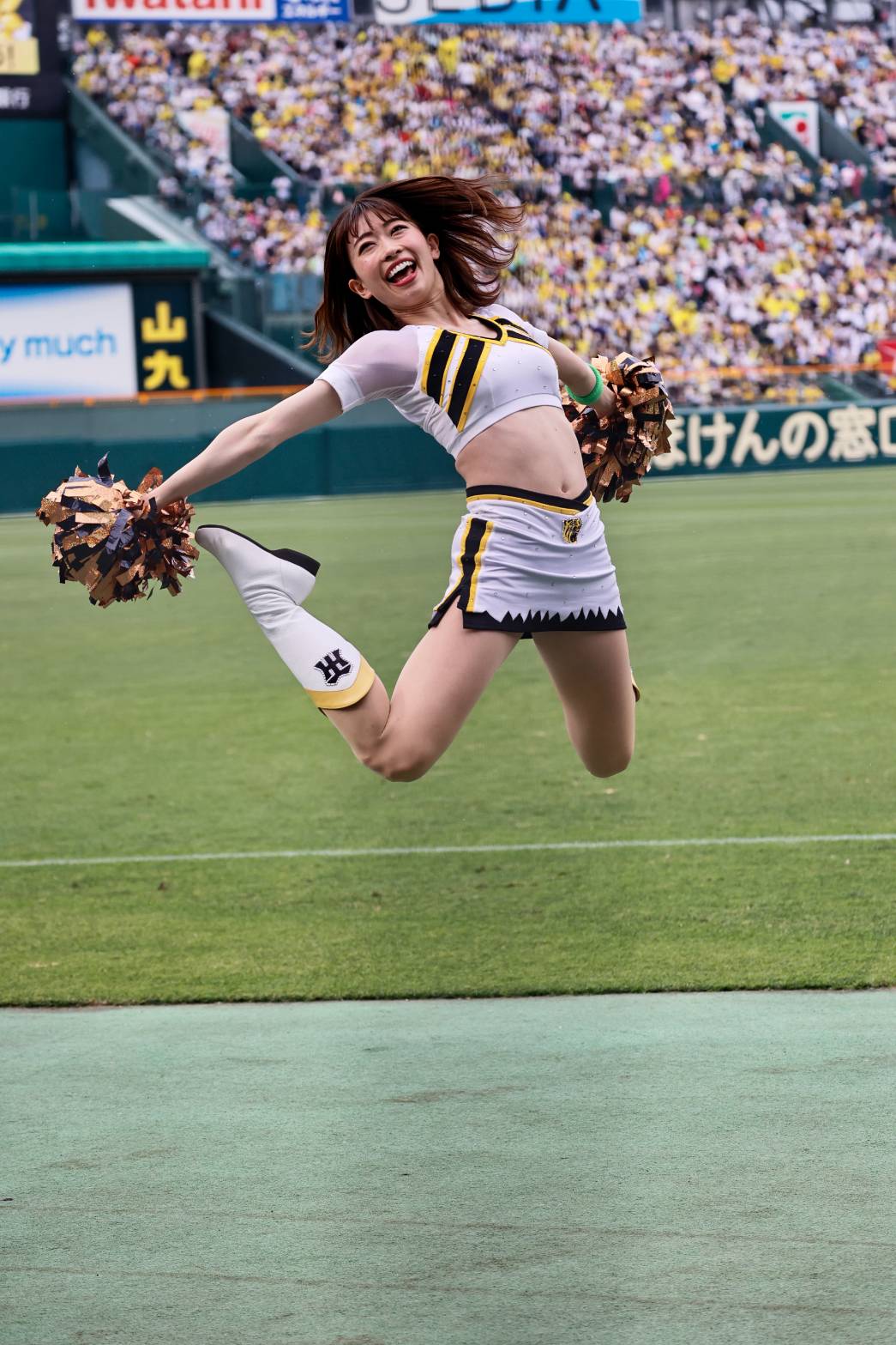 阪神タイガース 2005年優勝記念 チアたぬき 阪神タイガース 2005年優勝記念 チアたぬき 【公式通販】