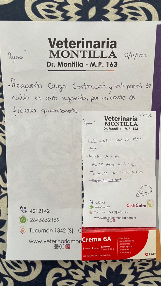 lamechitre's tweet photo. Hola amiguisss 🫶🏻 ya falta poquito para llegar a cubrir los gastos de la operación de esta bebita hermosa 🤍 dejo mi alias para el que pueda ayudar, con $50 ya es muchísimo 🥹 y sino con un RT nos ayudan muchísimooo ✨ https://t.co/1FUqKZFg38