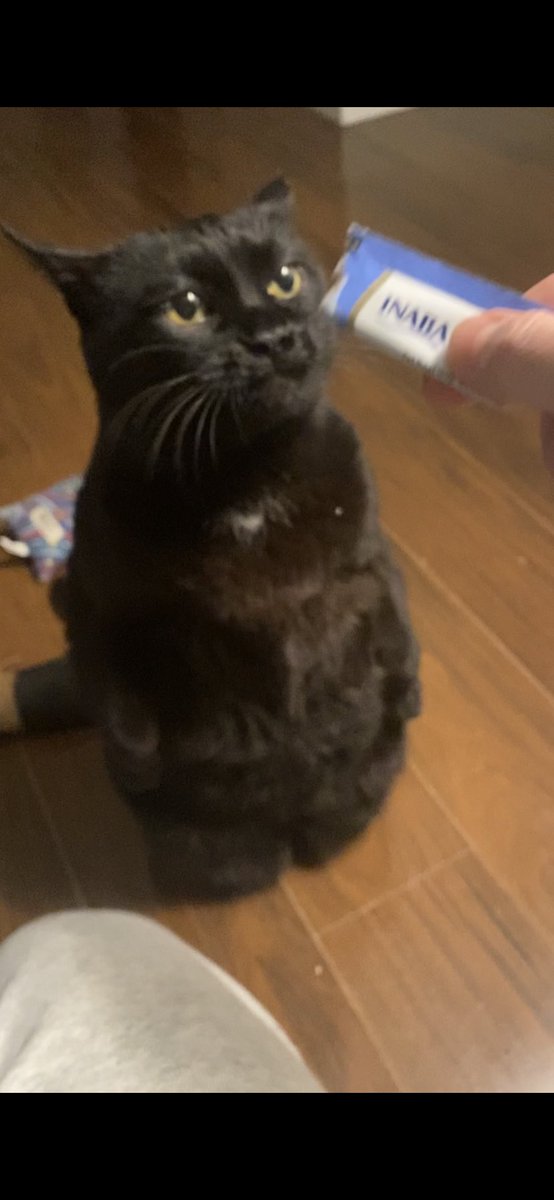 trvsdvdsn's tweet photo. These meat tubes make my cats achieve a whole other composure https://t.co/0y0IREOgw3