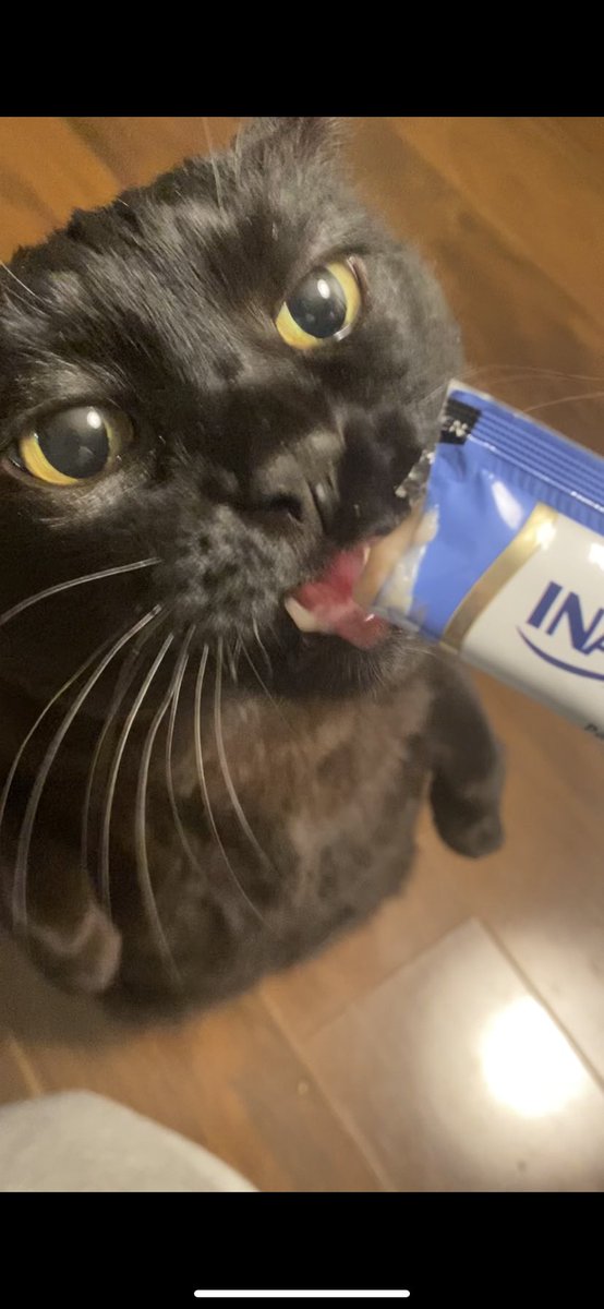 trvsdvdsn's tweet photo. These meat tubes make my cats achieve a whole other composure https://t.co/0y0IREOgw3