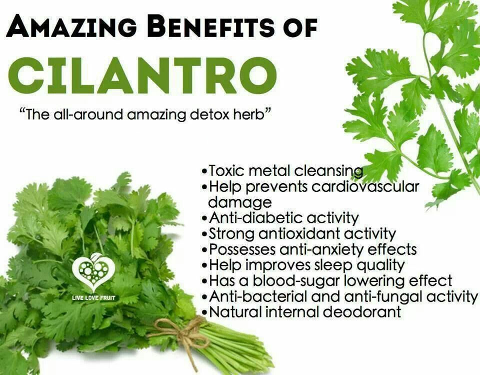 Cilantro flushes mercury and other heavy metals from the body that are nearly impossible to avoid. There's a compound in cilantro that metals bind to that gets released through urine. This is my favorite cilantro extract for detoxing heavy metals: amazon.com/gp/product/B00… #ad