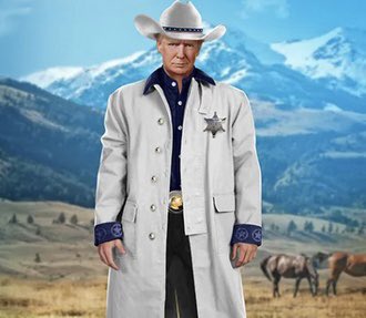 Donald Trump’s NFTs look exactly how you would expect them to look