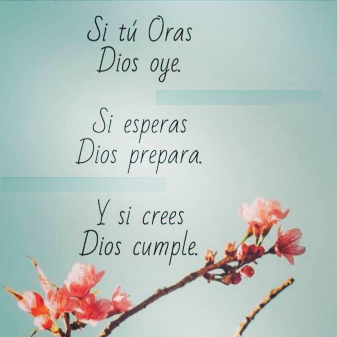Pildorasdefe (@pildorasdefe) on Twitter photo 