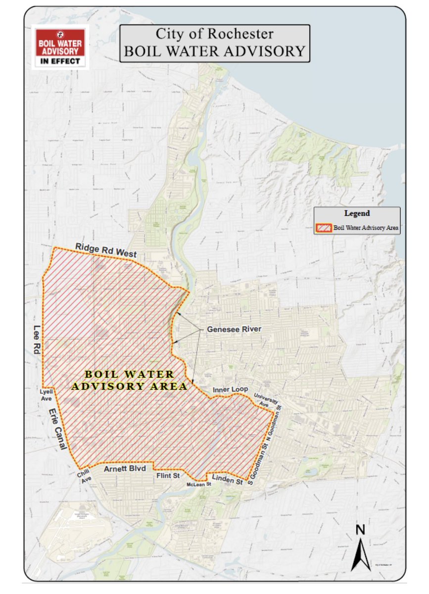 Carla Rogner tweet media