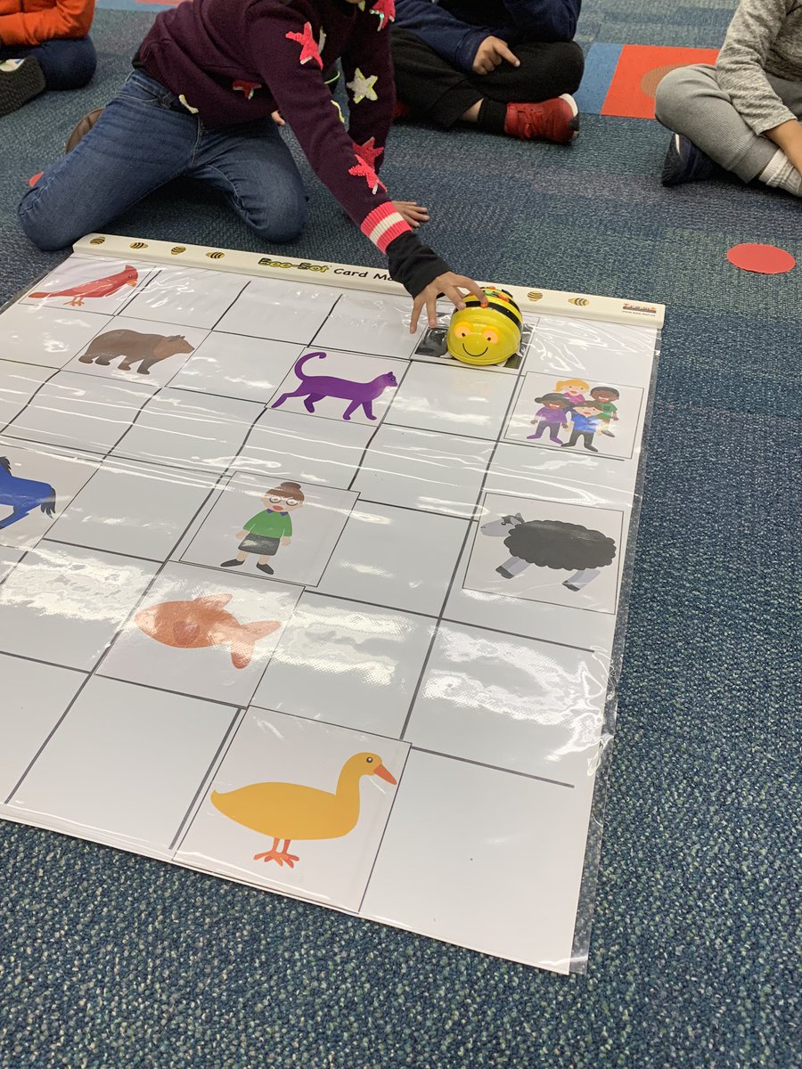 My little programmers learning to code with the Beebots