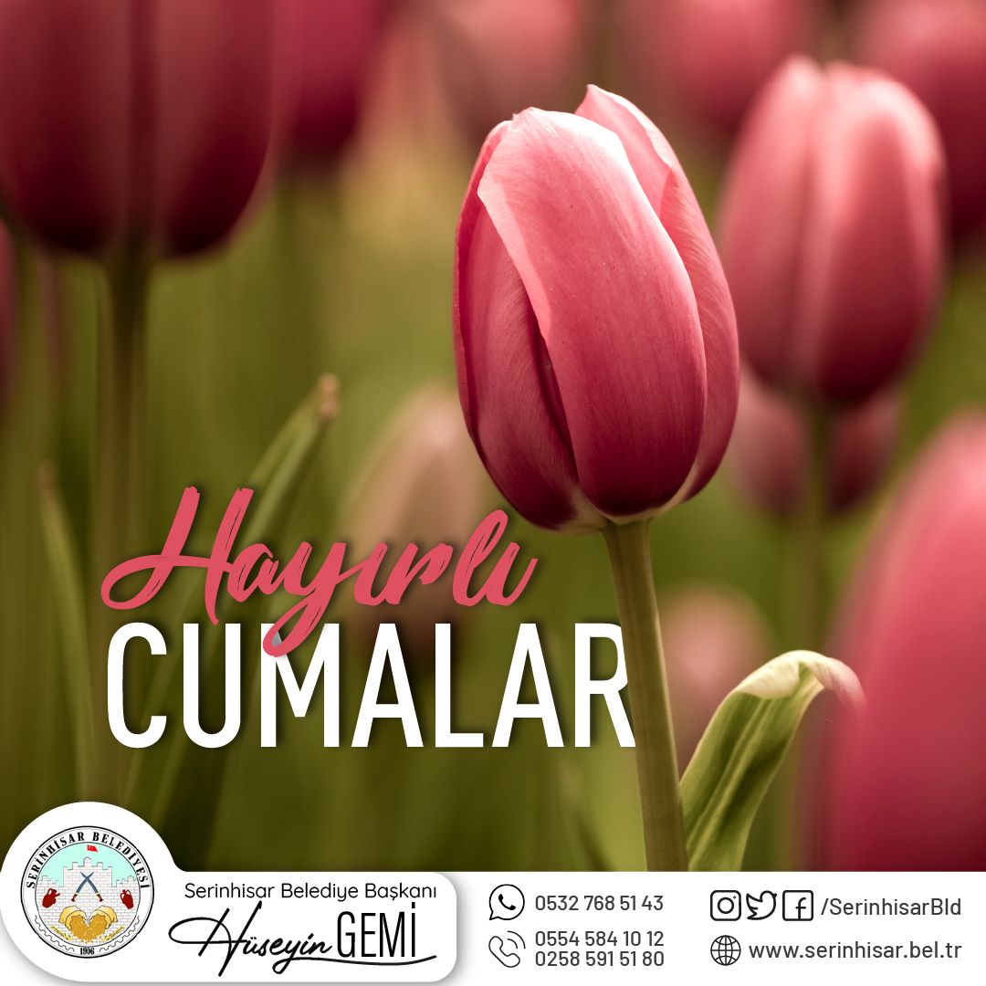 Sağlık ve mutluluk dolu günlerin hayatınızdan eksik olmaması dileğiyle. Gününüz aydın Cumamız Mübarek olsun.
#HayırlıCumalar

Hüseyin GEMİ
T.C. Serinhisar Belediye Başkanı