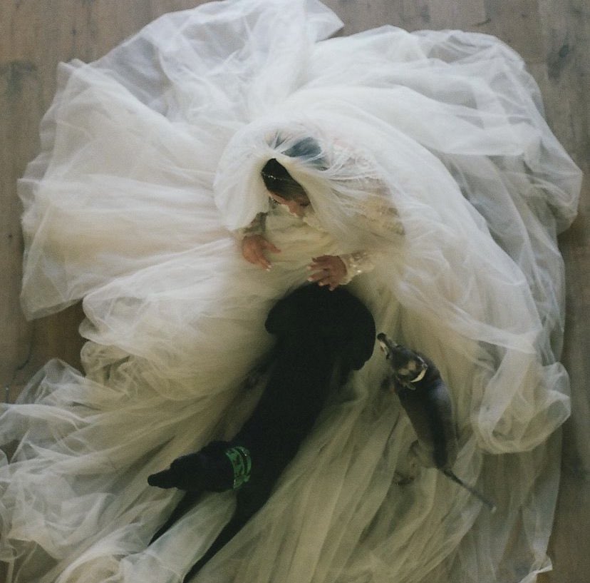 7230 ❤️‍🔥 tweet media