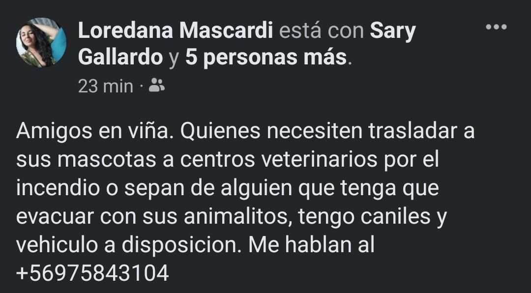 vanesafez's tweet photo. Atención quien necesite trasladar animalitos

#Incendio #VinadelMar https://t.co/EDx7PHYVDX