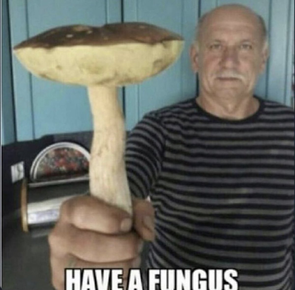 have a fungus