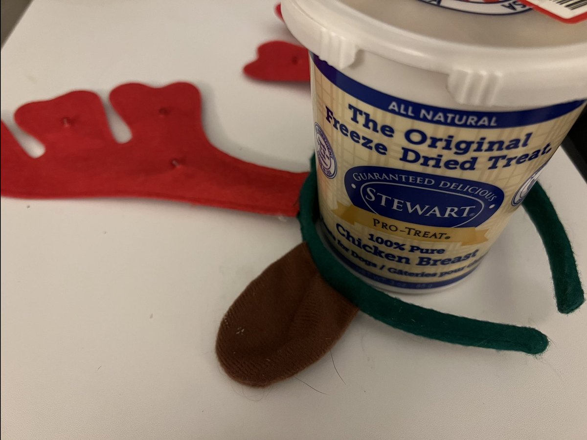 casey_dugan's tweet photo. Twas the night before same-day-shipping, and all thru the house,
Not a creature was stirring, not especially a mouse in Kendy’s house;
And I in my Santa hat, hacking away at this and that.
🎅 #bethesanta #youwanttoseeintheworld #engineers #approach #christmas #sorrysugarplums https://t.co/SeLpyAp94e
