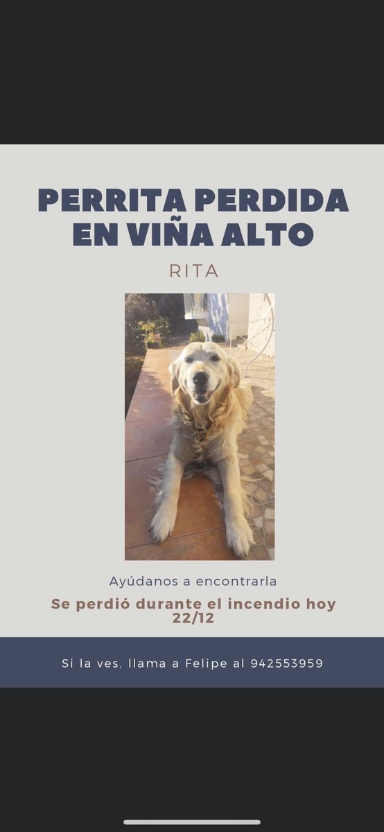 TwitchTheDerii's tweet photo. #Incendio
Porfavor compartir 😔❤️ https://t.co/C5PI4QFCBc