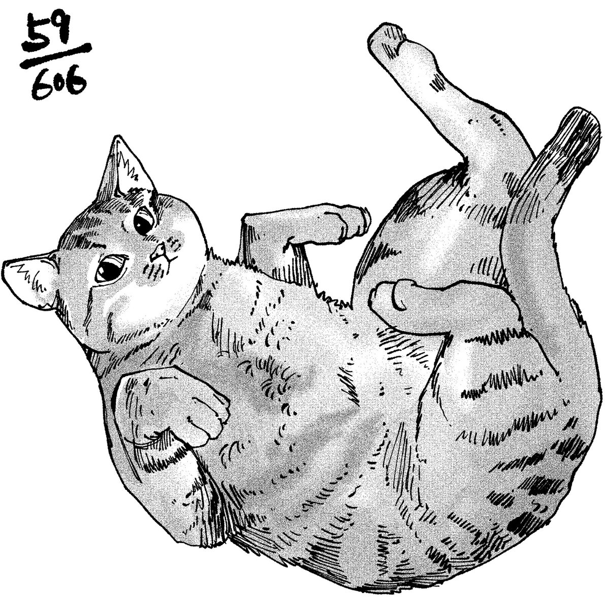 58/ 606 59/606
#猫606 