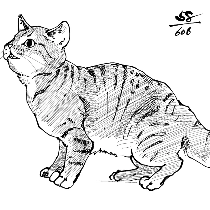 58/ 606 59/606
#猫606 
