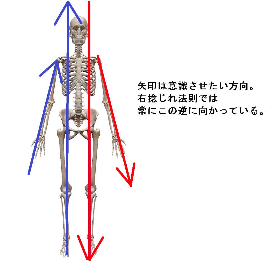 kid_a1005's tweet photo. 東洋医学の原則では
右半身が『陰』、左半身が『陽』です

陰は下りる、陽は上がる作用です

これは最新リハビリ医学でも使われる
『右捻じれ法則』＝右側優位
でも同じです

なので歪みを治したい
身体の動きをよくしたい時には
『この逆方向』にするのです https://t.co/pVXUPgCroz