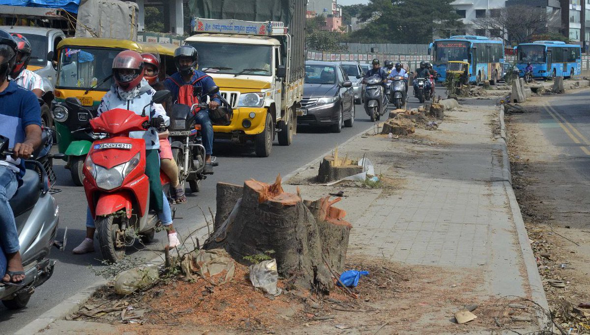 CitizenKamran's tweet image. #Bengaluru 80 trees were axed  between Silk Board &amp;amp; HSR Layout for #NammaMetro work.

They are planting saplings as replacement. 

I am at loss of words for such reckless behaviour. How do you feel reading this?