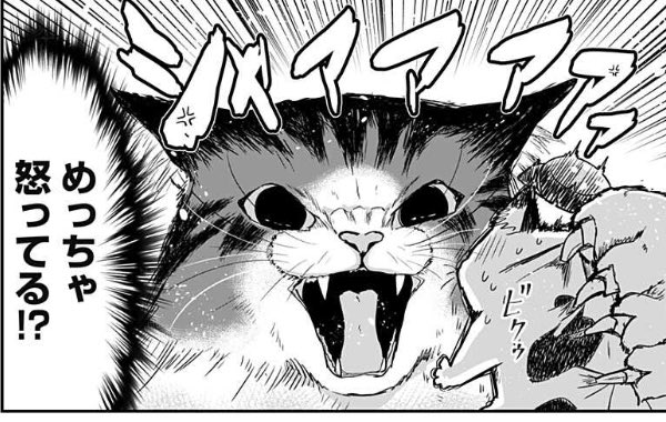 今週のお気に入りコマ🐾 