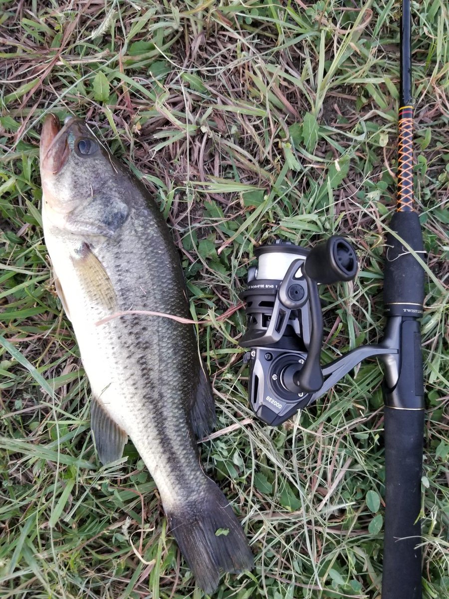 PlusinnoUSA's tweet photo. If you love a fisherman, raise your hand. If your hand isn’t up, raise your standards.😂🎣🎣
.
.
.
#fishing #fisherman #fisher #fishingislife #fishinglovers #fishinglife #angling #angler #anglinglife #fishinggear https://t.co/GoleyPek6G
