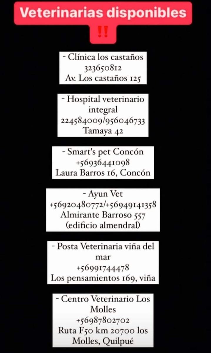 AnimalParaíso tweet media