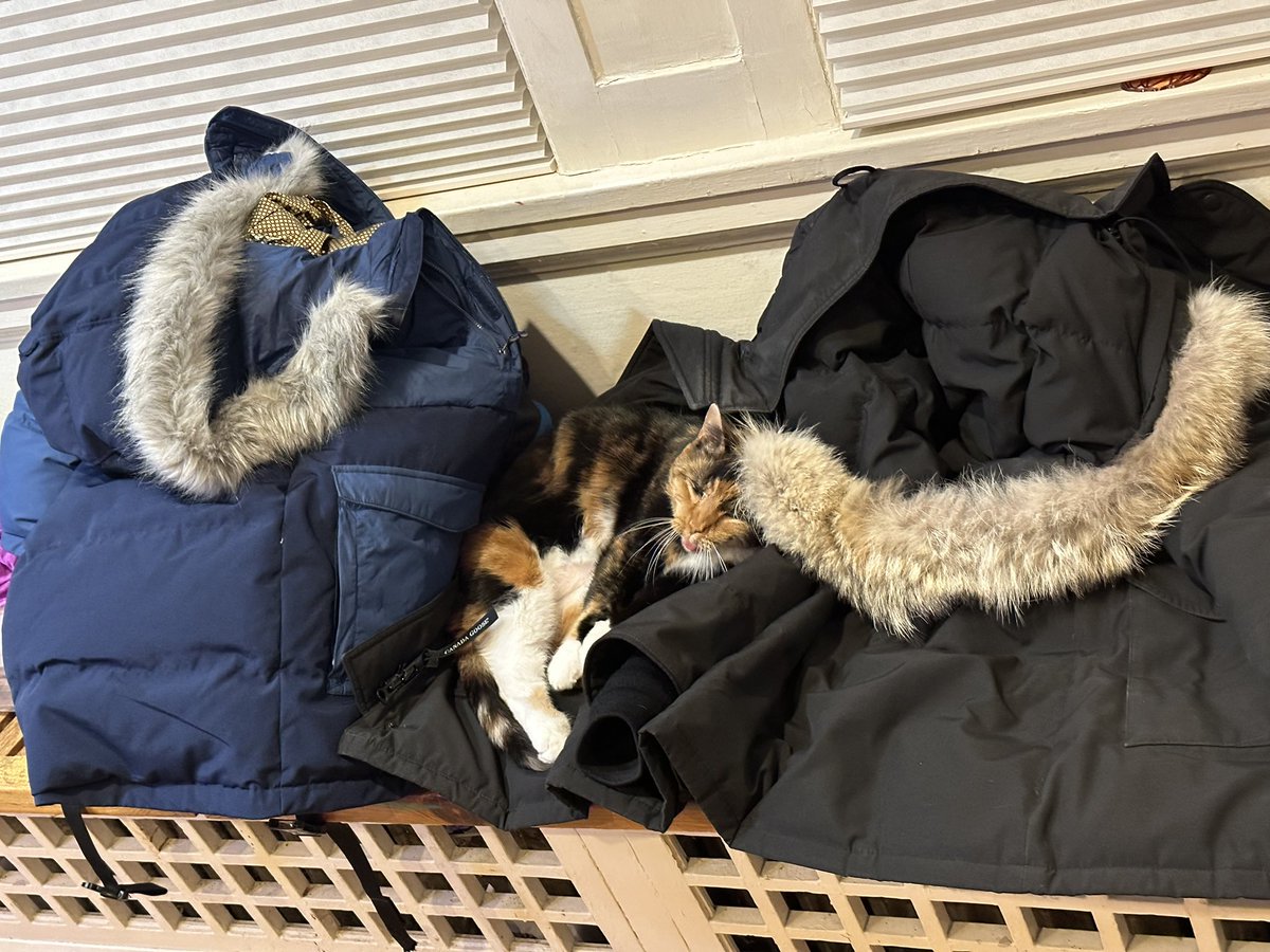 This is how we cat when it is cold outside…(coats are on the heater)