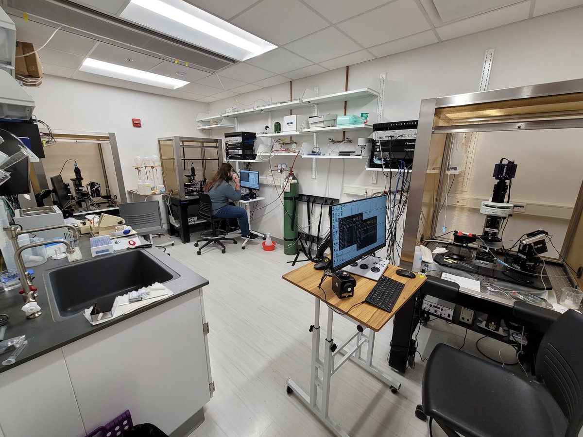 Joey Ransdell tweet media