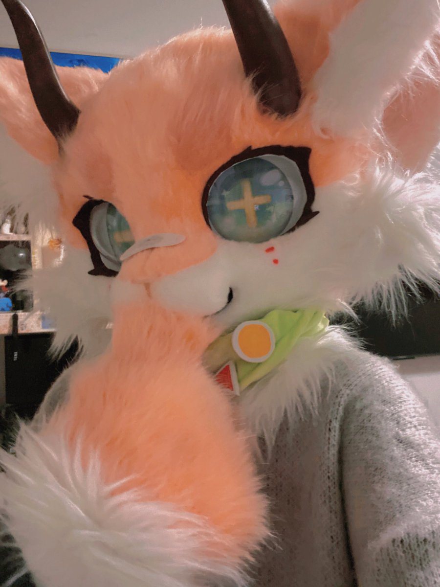 QuanC743's tweet photo. 兽装！
-#furries #furry https://t.co/XT3tCn8D0z